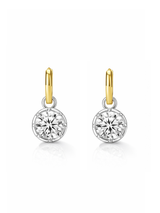 Vera Two Tone Earring