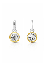 Vera Two Tone Earring