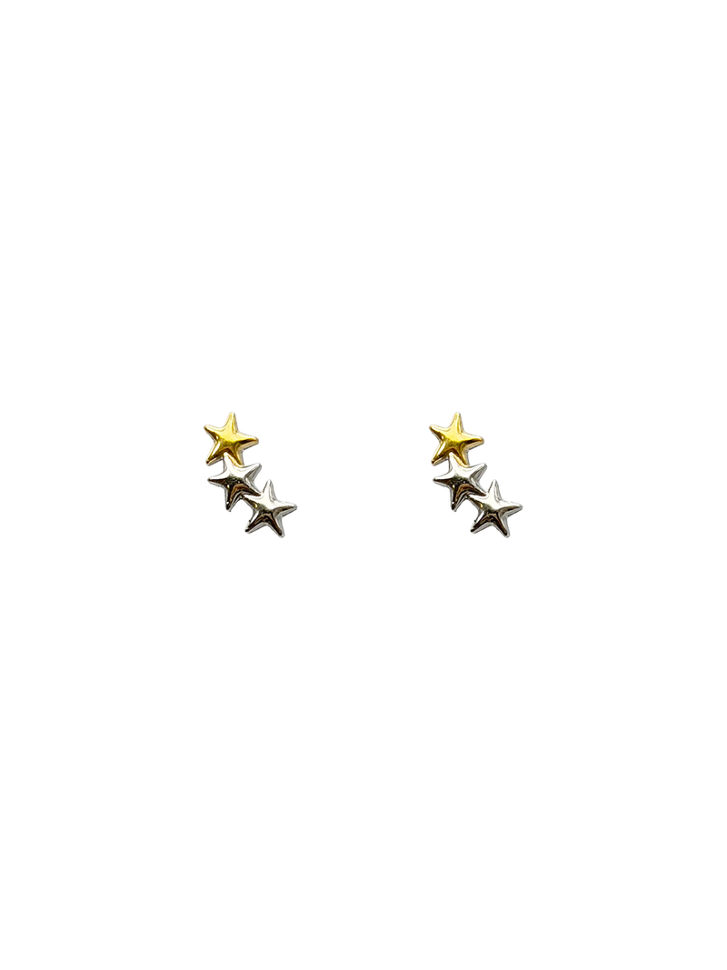 Starlyn combination Earring
